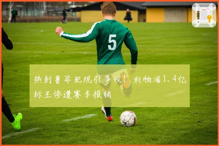 热刺鲁莽犯规引争议！利物浦1.4亿标王惨遭赛季报销