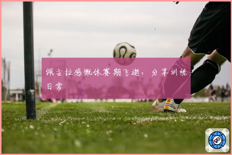 佩古拉感慨休赛期飞逝，分享训练日常